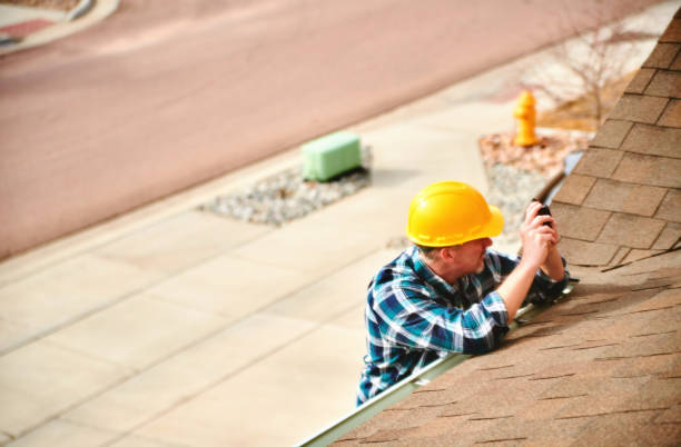 Best Roof Maintenance and Cleaning  in Shady Spring, WV