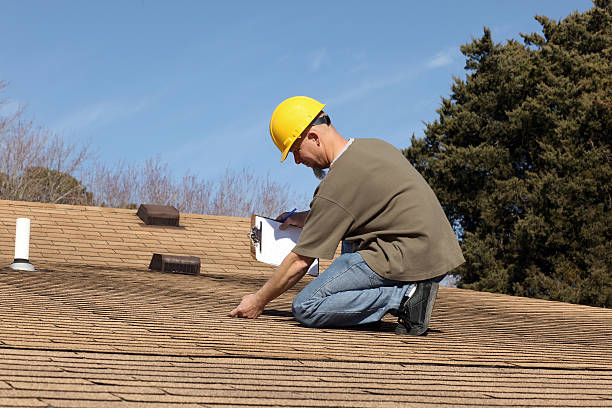 Best Roof Moss and Algae Removal  in Shady Spring, WV