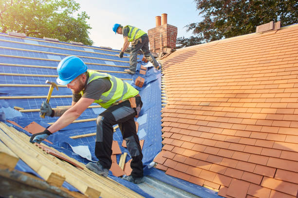Best Roof Ventilation Installation  in Shady Spring, WV
